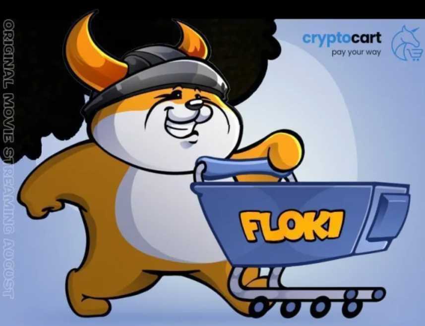 Floki会是下一个Shiba Inu吗？ Floki将深入中国市场以达成新的高度-iNFTnews