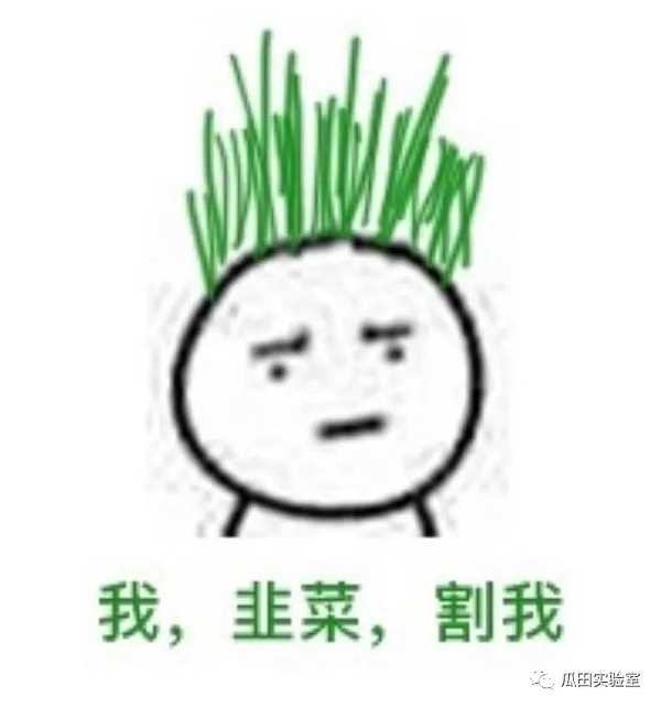 下轮牛市的引爆点： 一种新的从 WEB2 导流的方式-iNFTnews