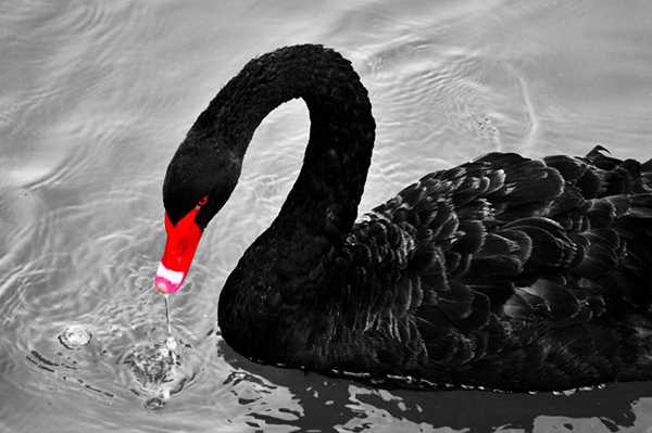 「312」三周年：请敬畏市场，永远永远-iNFTnews