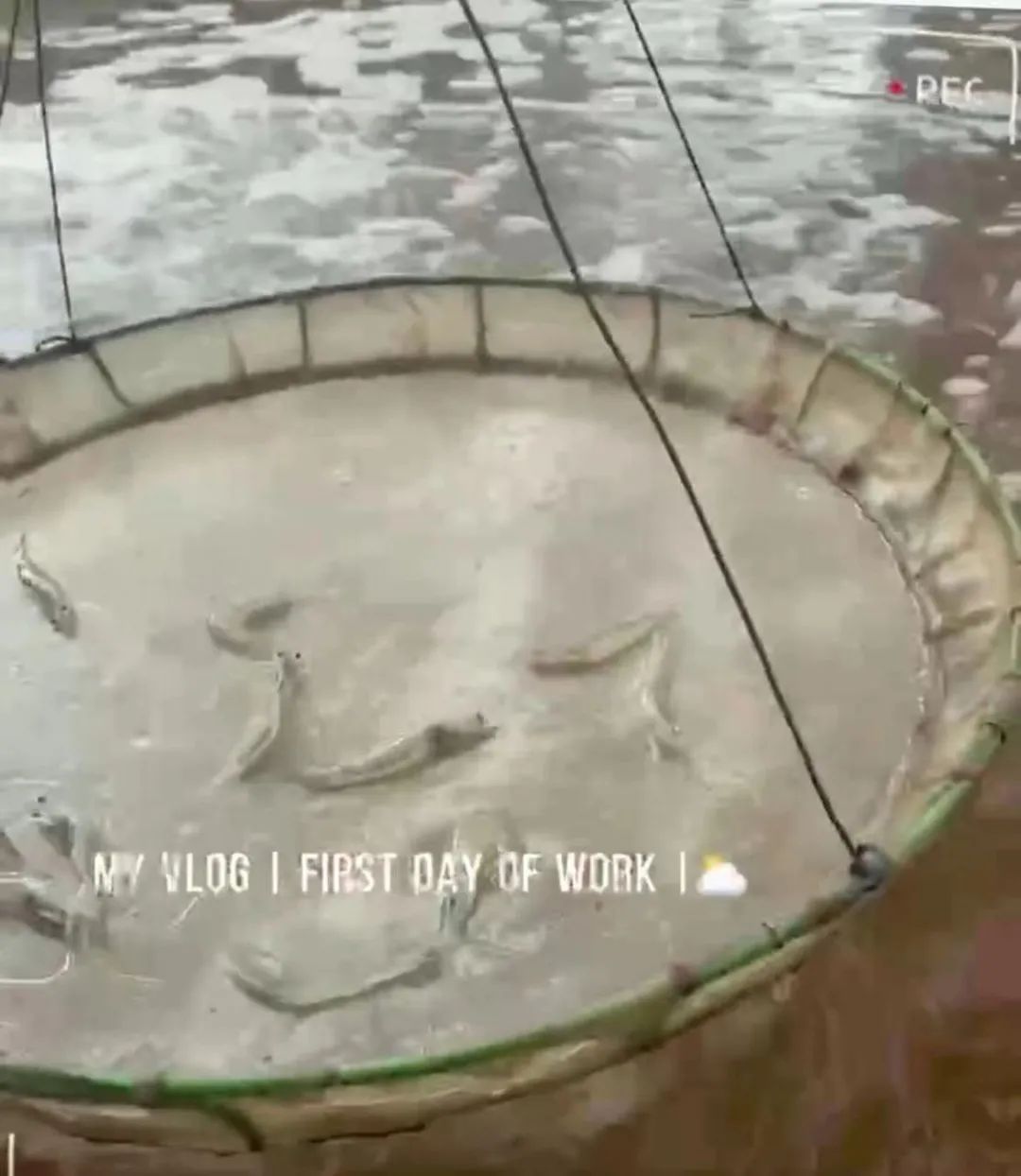 离开币圈的“老人们”：有人结婚生娃，有人创业再出发