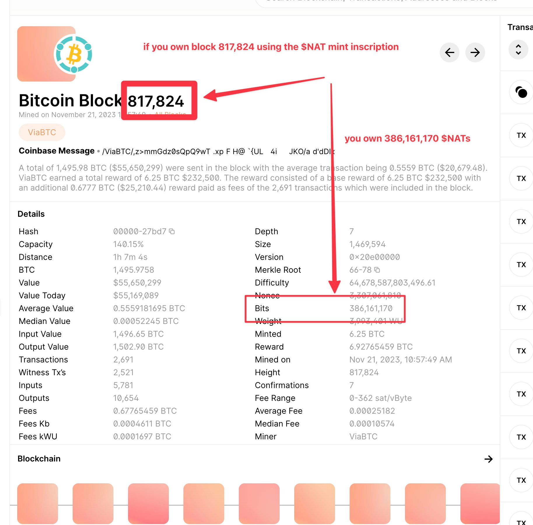 基于DMT理论诞生的铭文项目NAT究竟是什么？