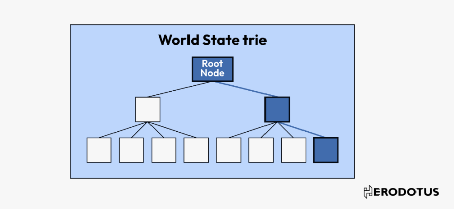 ABCDE研报：ZK新用例，深入探讨协处理器及各家解决方案