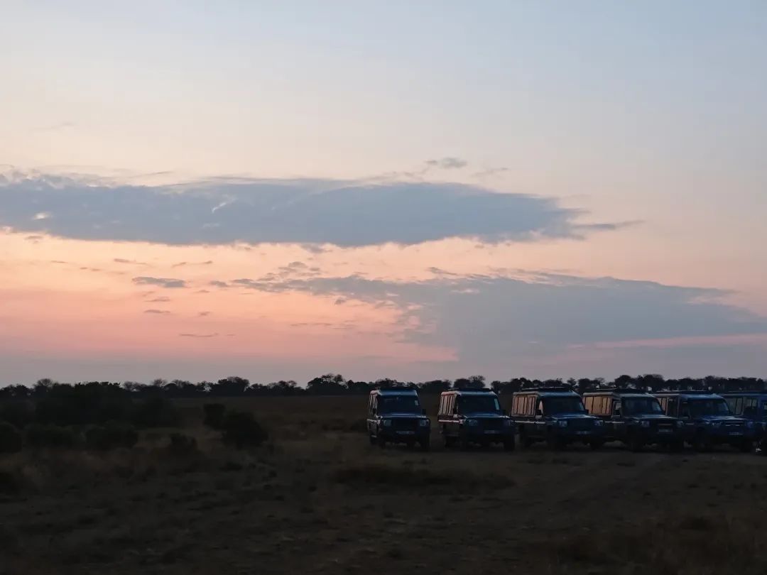 加密支付:从“混序”肇始到Web3.0世代的“VISA”