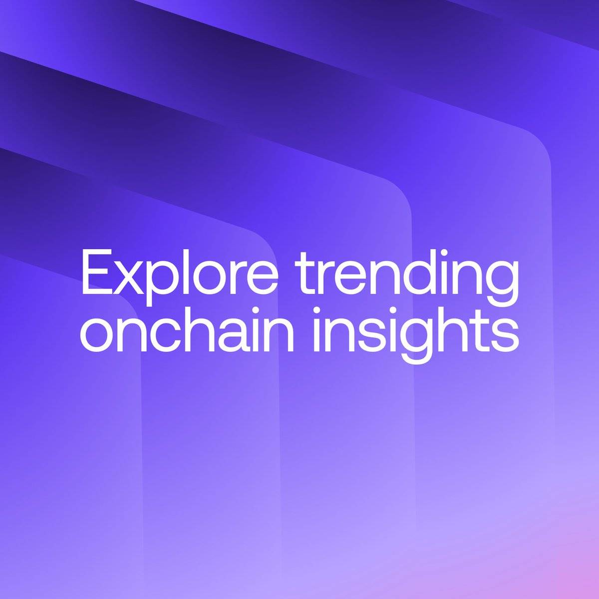 下一个“大毛”?数据分析Monad测试网上线以来的真实表现