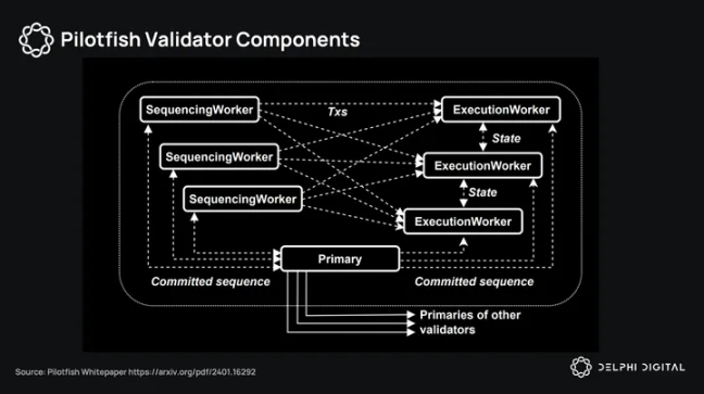 Delphi Digital:深度解析Sui Q1生态发展
