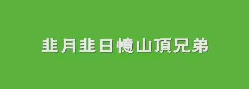 矿工出征，用中文表情包攻占Filecoin官方频道