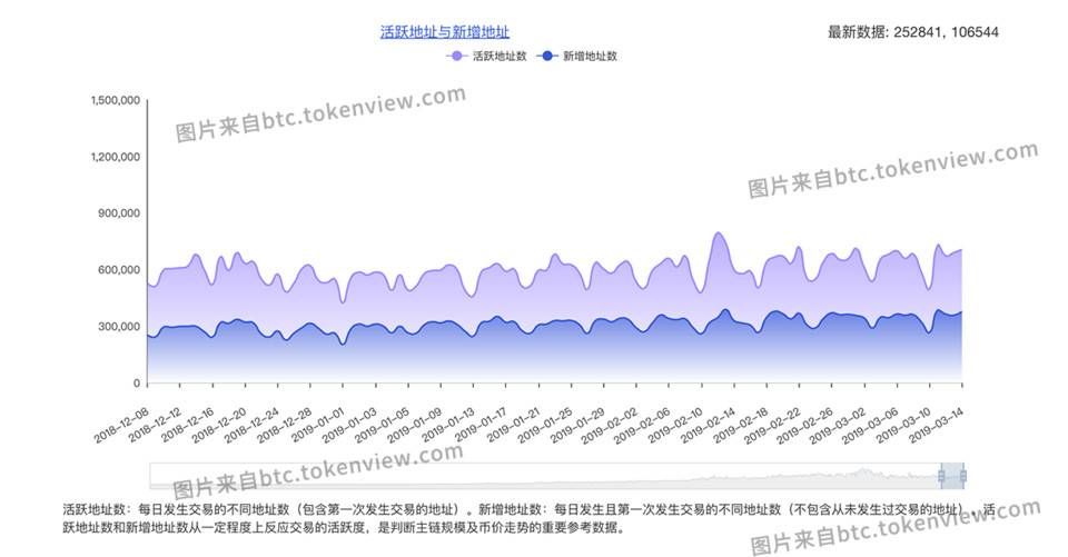 Tokenview 深度：如何理解链上活跃地址数和新增地址数