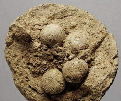 【观点】陈伟星、玉红都错了,黄金才是最大的空气币! 【观点】陈伟星、玉红都错了,黄金才是最大的空气币!